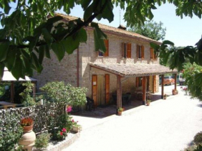 AGRITURISMO COLLEMAGGIO DI MOSCATELLI MARIASSUNTa Valfabbrica